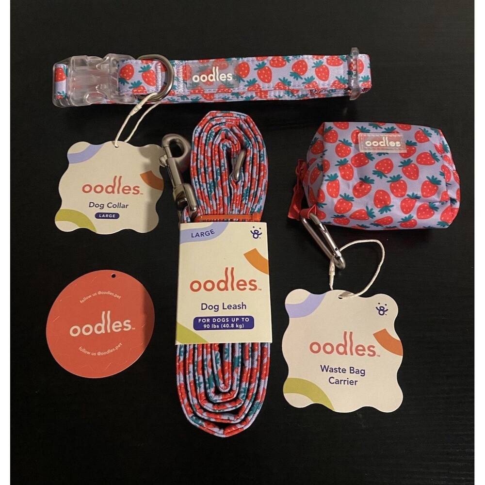 Oodles Sweet Strawberry Dog Walking 3 Piece Set Large